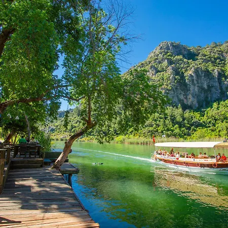 Grand Yasar 3