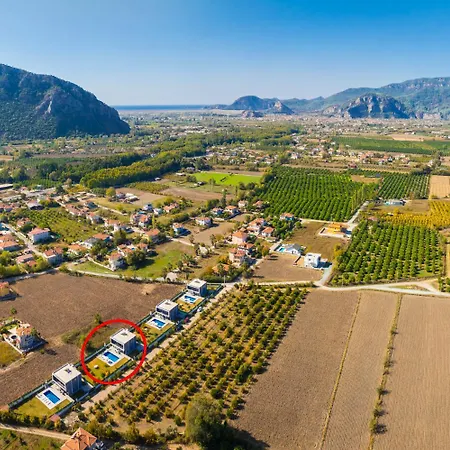 Grand Yasar 3 Okcular