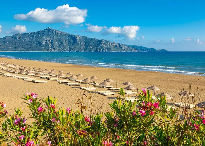 Vilă Grand Yasar 3 *